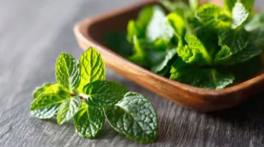 garnishing-instructions-image